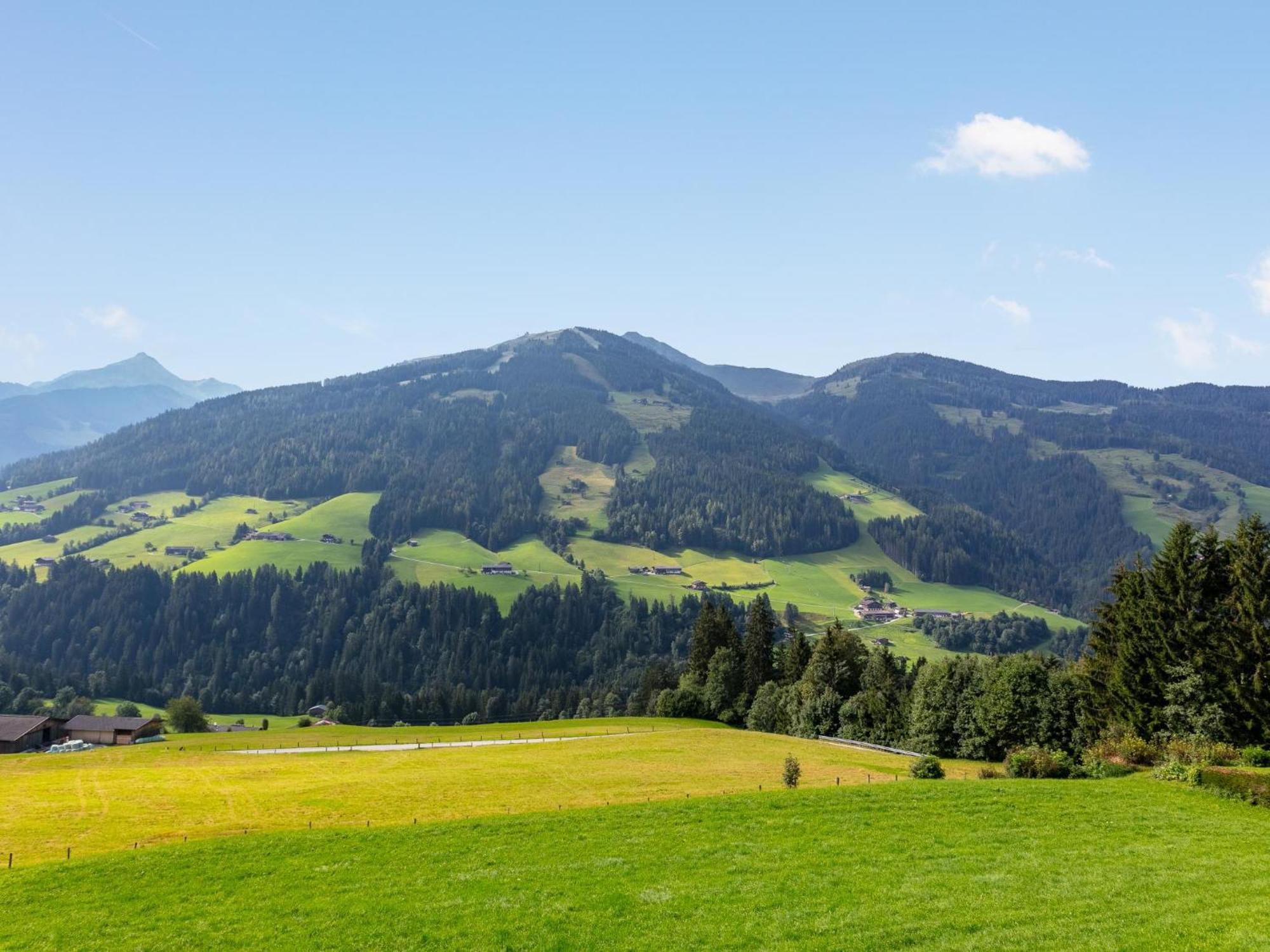 Haus Fernwald Top Rens Alpbach Dış mekan fotoğraf