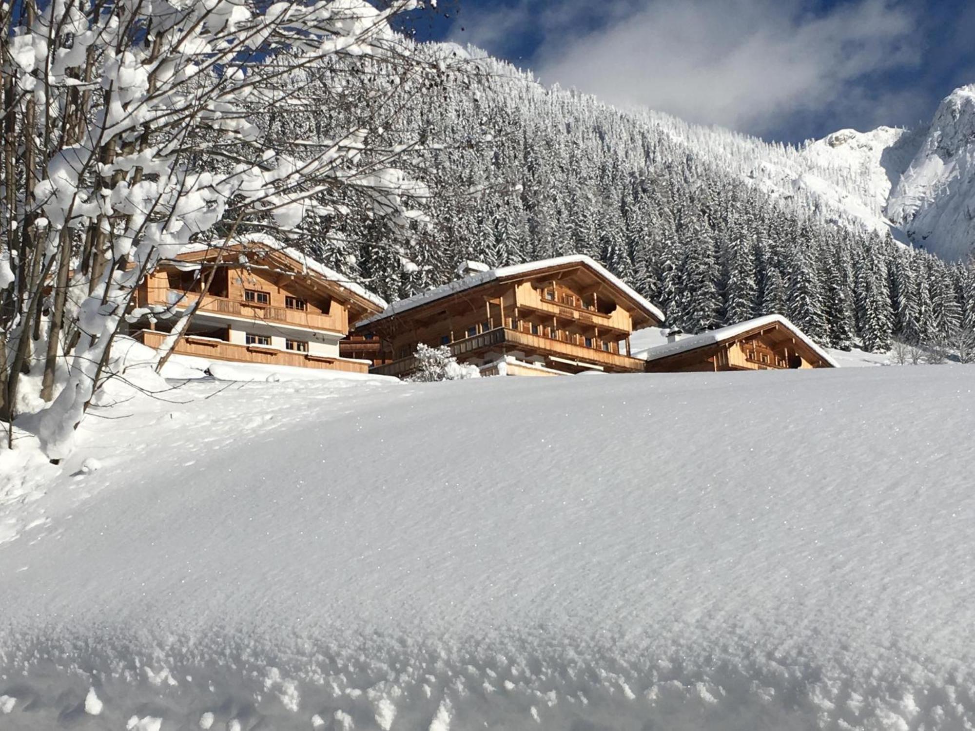 Haus Fernwald Top Rens Alpbach Dış mekan fotoğraf